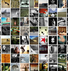 photo gallery